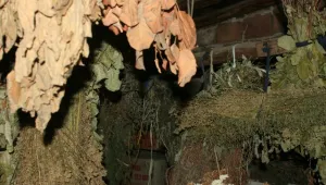 Солени глоби за нелегалната продажба на билки
