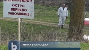 Паника в Странджа заради шапа
