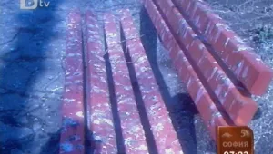 Гарги атакуват градската градина в Шумен