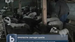 Животновъдите на протест срещу ограниченията заради шапа