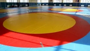 Гуйдя осигури втори медал за България от Европейското по борба