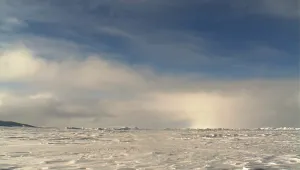 Жителите на Северния полюс