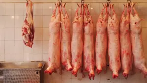 ДАНС и НАП разследват производители и търговци на месо и мляко