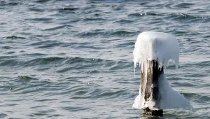 Светът почита водата