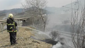 Пожар край пътя пламна в Благоевградско