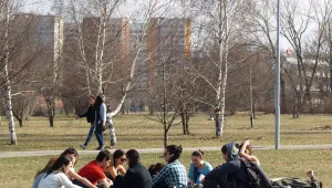 Автобусната линия 
