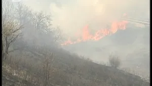 Пожар вилня часове наред край Драгичево