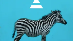 30 Seconds To Mars пускат новото си парче в Космоса