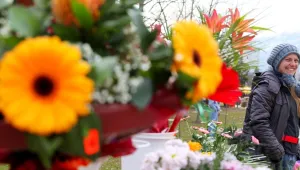 НАП погна цветарите за 8 март
