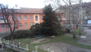 Децата се връщат в училище, въпреки бедственото положение в Габрово