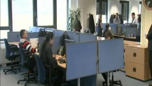 Закон регламентира труда на стажантите