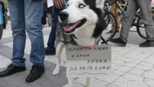 След скандала „Карадере”: как се става топ инвеститор в България?