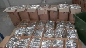 560 кг марихуана за 3 млн. лв. хванати на ГКПП Илинден