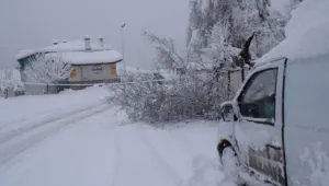 Снежно бедствие откъсна област Смолян от света