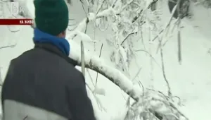 Доброволци се включиха в борбата със снежното бедствие