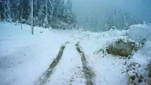 Бедствено положение в трънското село Ерул