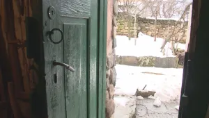 Лютиброд пропищя от крадци