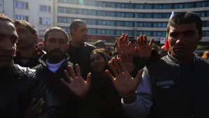 Природата била виновна за обезлесяването, твърдят износители на дървесина