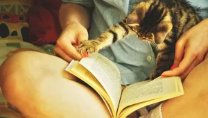 Учени: Човешкият мозък може да съхранява 4,7 милиарда книги