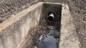 Два тона мъртва риба изплува във водоем в Ямболско