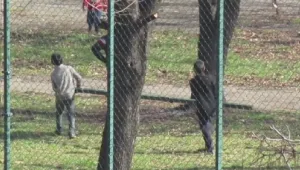 Деца изнесоха спортна площадка за скрап