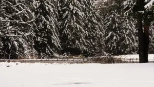 Сняг в Смолян, до утре и на повече места