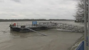 Нивото на р. Дунав при Русе мина седем метра