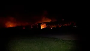 Птицекланица изгоря в Първомай