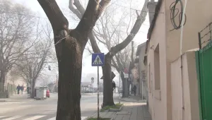 Неизвестни умишлено 