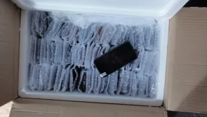 Митничари спряха внос на над 6000 мобилни телефона през Русе