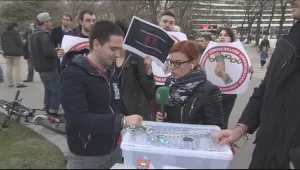 Граждани протестираха срещу задължителното гласуване