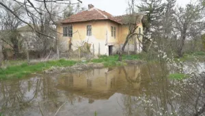 Защо монтанското село Трифоново заприлича на Венеция