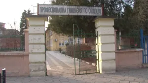 Ще съдят за хулиганство младежите, които опитаха да нахлуят в училище в Пазарджик 