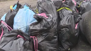 Метълисти чистиха боклуците в бургаски квартал