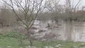 Заради дъждовете: Високи води застрашават много места в страната