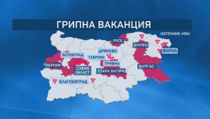 Русе, Стара Загора и София-област в грипна ваканция