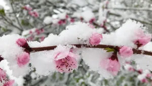 Валежите от сняг и дъжд продължават и днес