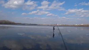 Жена 