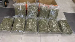 Митничари задържаха над 18 кг марихуана в две пратки от Италия за Гърция