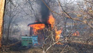 Голям пожар в Рила: Огнеборци, горски и доброволци атакуват огнищата от двете страни 