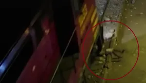 Кадри улавят как влак прегазва мъж, заспал на релсите, той оцелява по чудо (ВИДЕО)