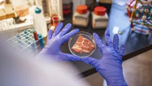 Лабораторно отглеждани месо и млечни продукти заливат света: Ще навлязат ли и на пазара във Великобритания?