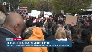 bTV Новините - Обедна емисия - 29.03.2025	