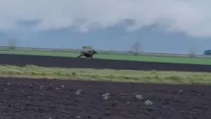 За първи път от 200 години насам в Румъния се появи лос. Заснеха го как тича през поле