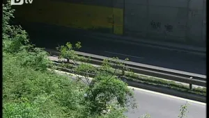 Тийнейджър загина в столицата - паднал от мост и го блъснал бус