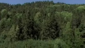 Внасят в МС 40 хиляди подписа в защита на Витоша