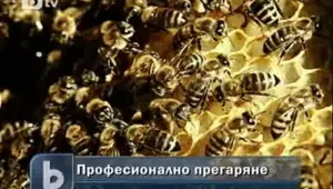 Как да се борим с професионалното прегаряне?