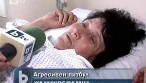 Агресивен питбул нахапа втори човек