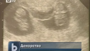 До сто деца годишно се раждат с ин витро