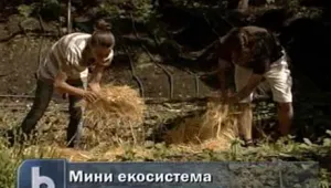 Младо семейство от Банкя превърна двора си в миниатюрна екосистема